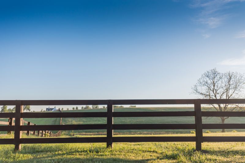 Horse Paddock Installation in Pearland, TX
